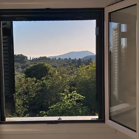 350m Above Sea * Vasiliki